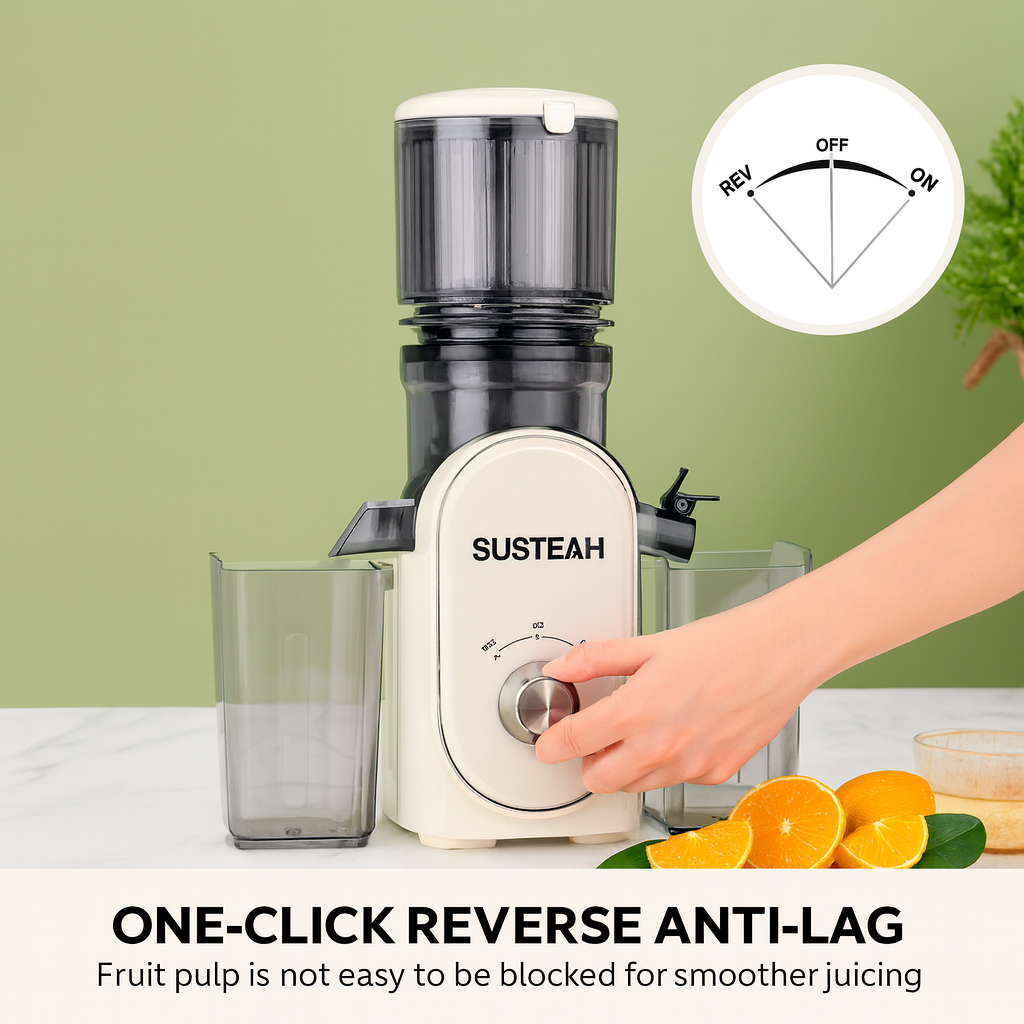 Cold Press Juicer, Slow Masticating Juice Extractor, Easy to Clean